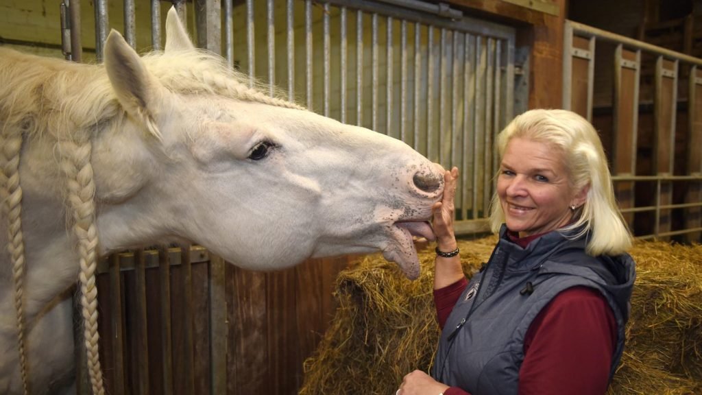 Wann Ist Tamme Hanken Geboren