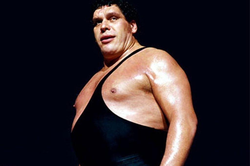Andre The Giant Größe 