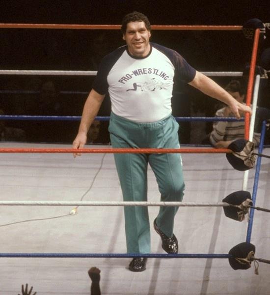Andre The Giant Größe 