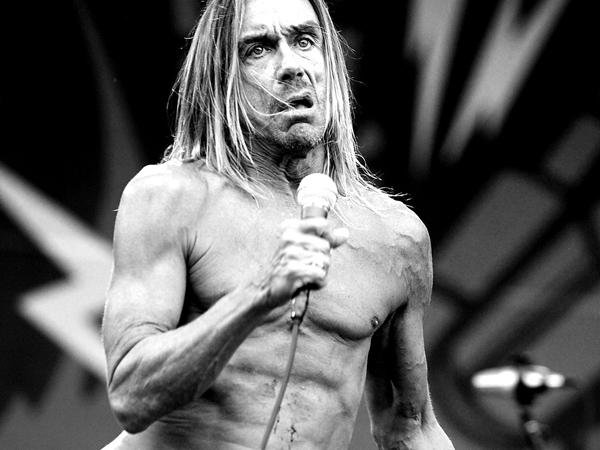 Iggy Pop Jung 