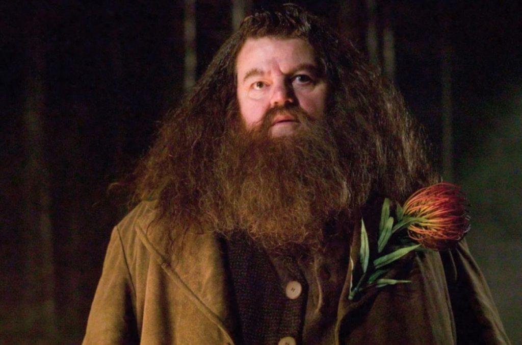 Robbie Coltrane Größe