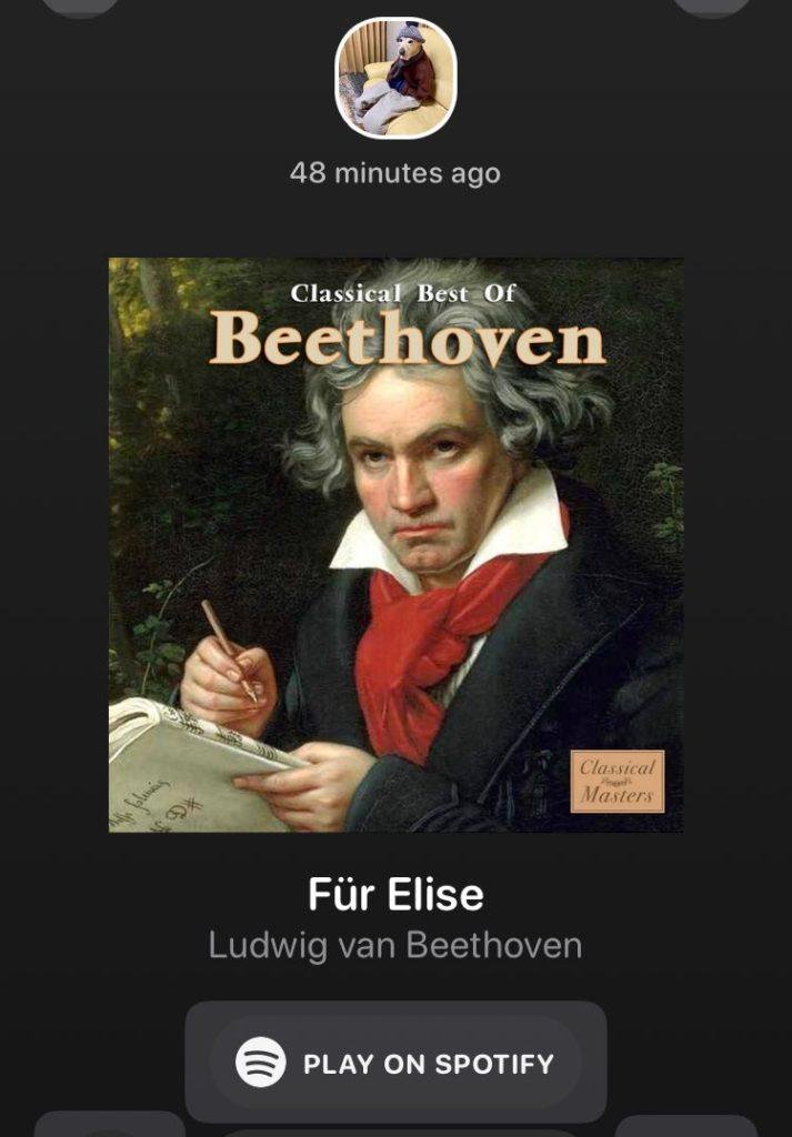 Wann Ist Ludwig Van Beethoven Geboren