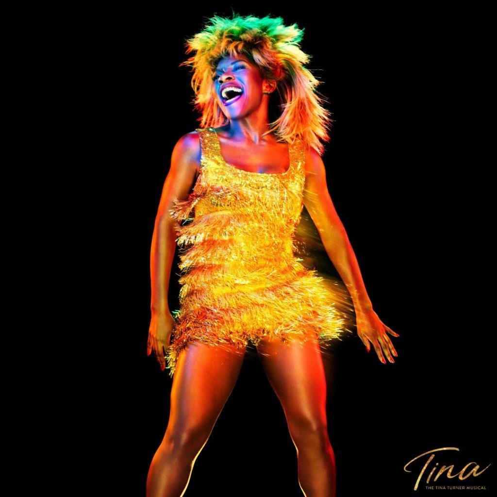 Tina Turner Biografie