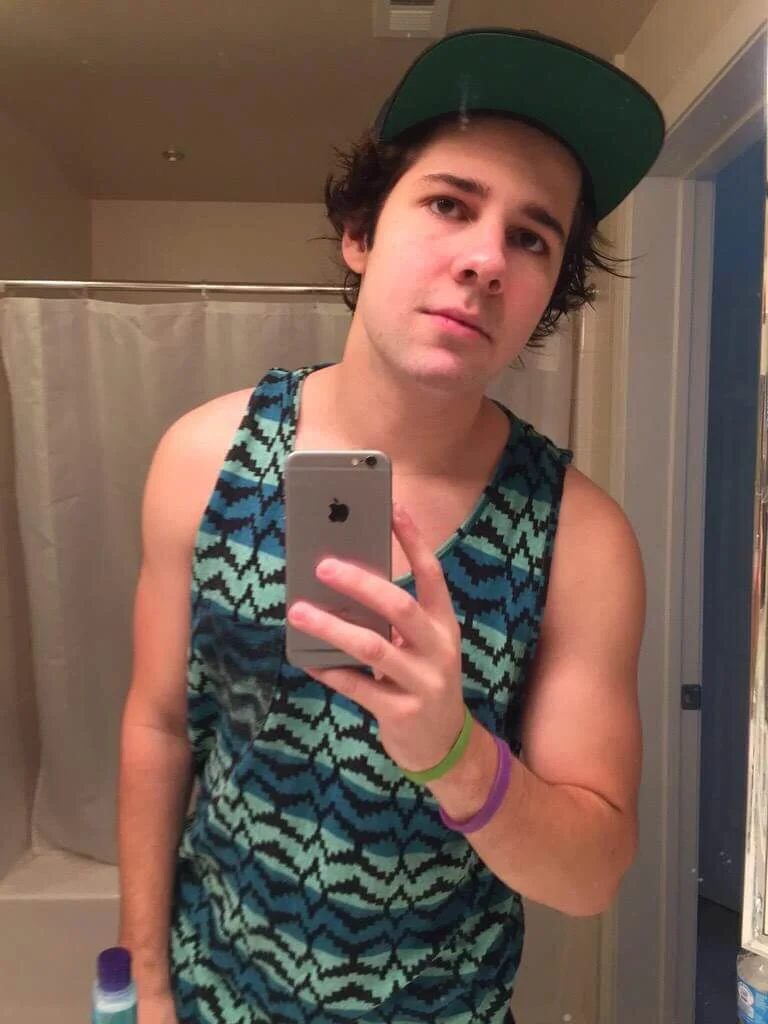 David Dobrik Vermögen