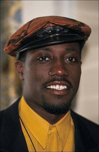 wesley snipes vermögen