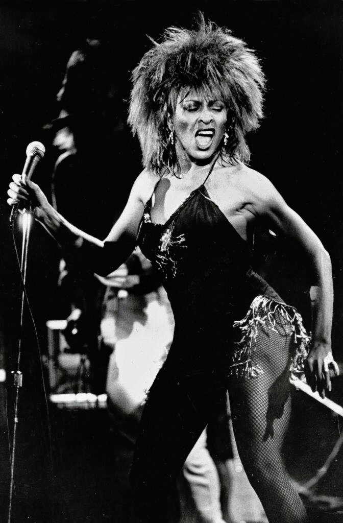 tina turner vermögen