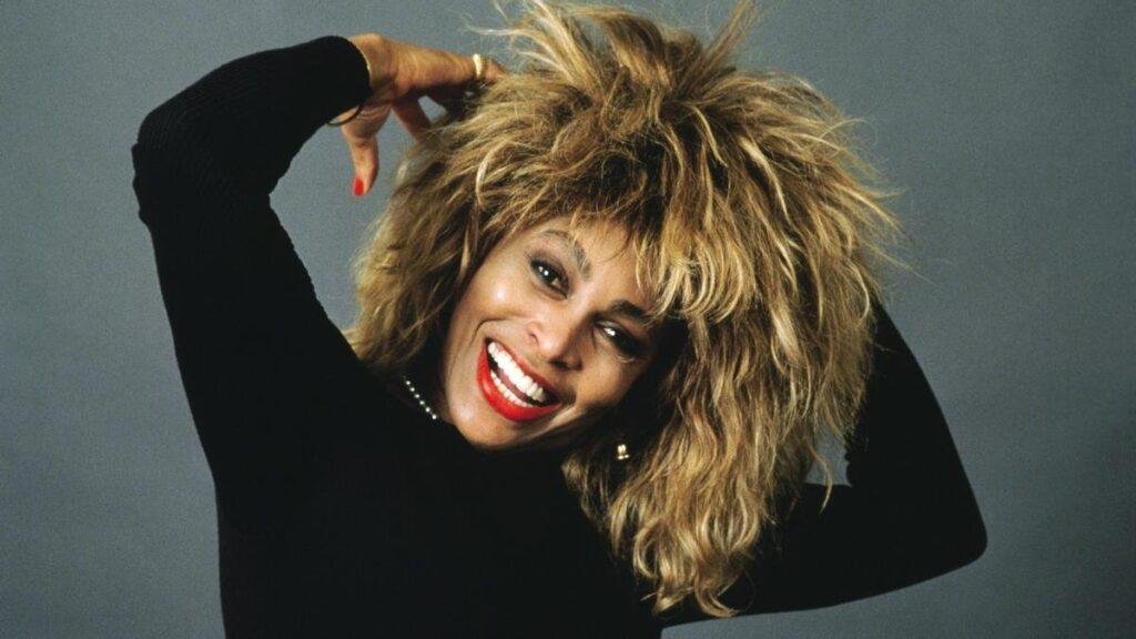 tina turner vermögen