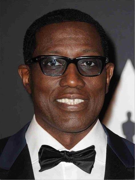 wesley snipes vermögen