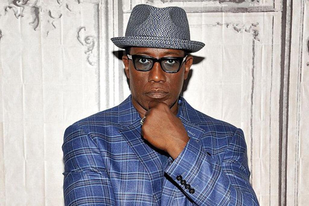 wesley snipes vermögen