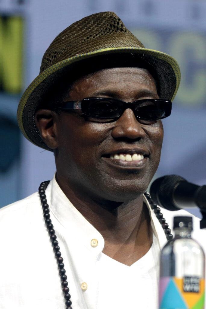 wesley snipes vermögen