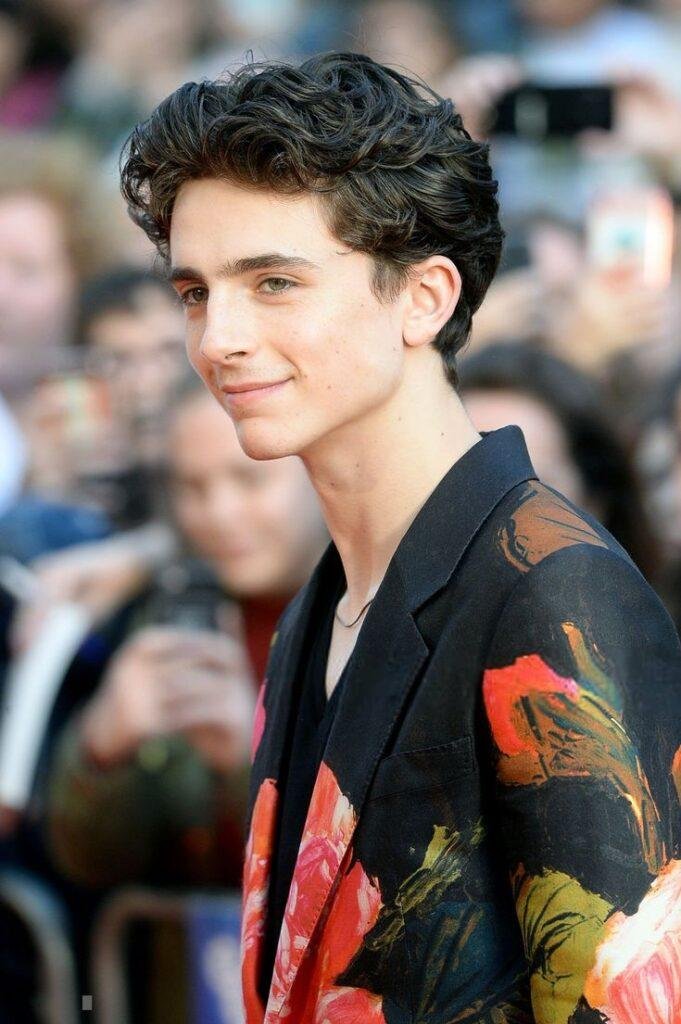 Wie Alt Ist Timothee Chalamet