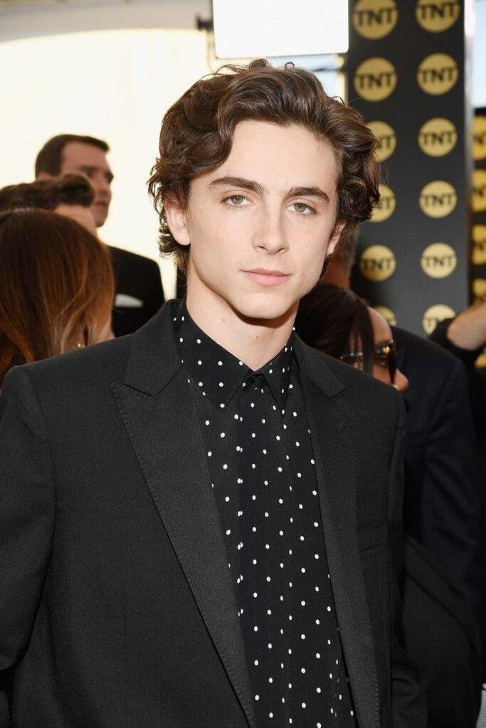 Wie Alt Ist Timothee Chalamet