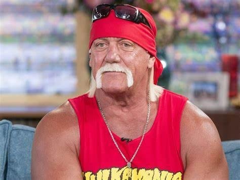 Hulk Hogan Vermögen