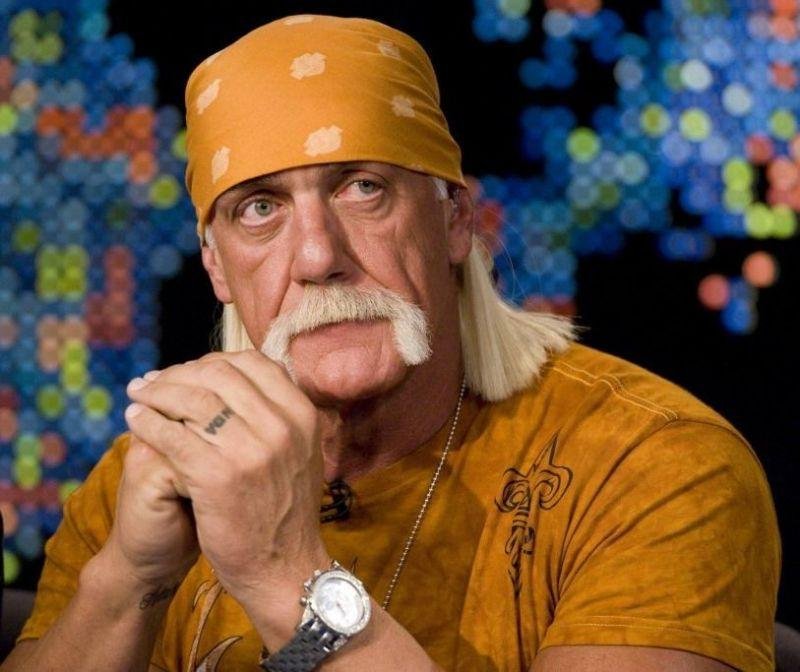 Hulk Hogan Vermögen