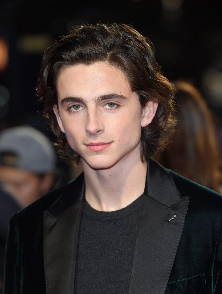 Timothee Chalamet Alter