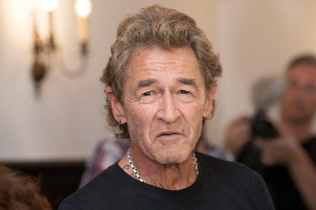 Peter Maffay Vermögen