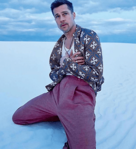 Brad Pitt Vermögen