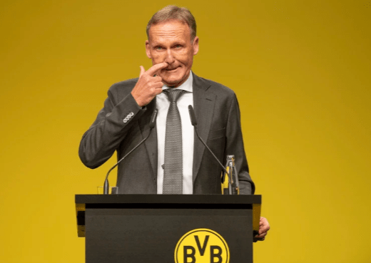 Watzke Vermögen