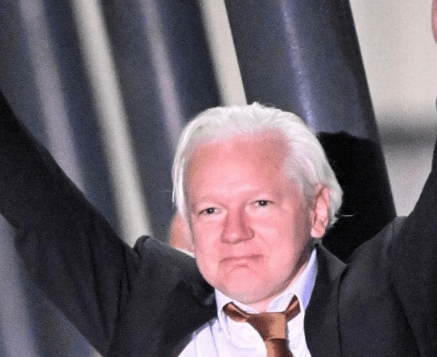 Julian Assange Vermögen