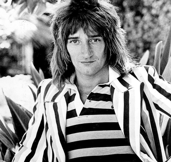 Rod Stewart Vermögen