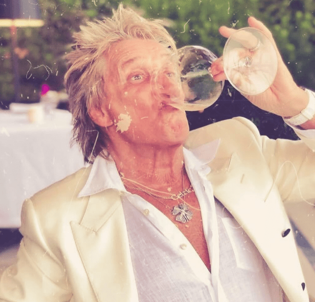 Rod Stewart Vermögen