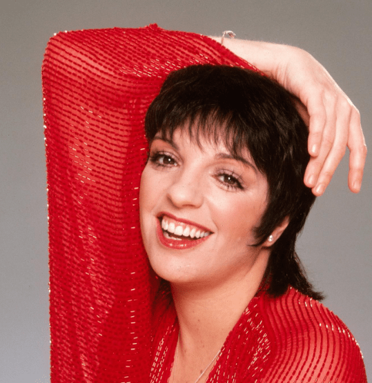 Liza Minnelli Krankheit