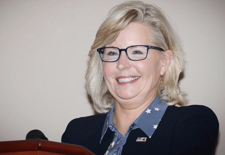 Liz Cheney Vermögen