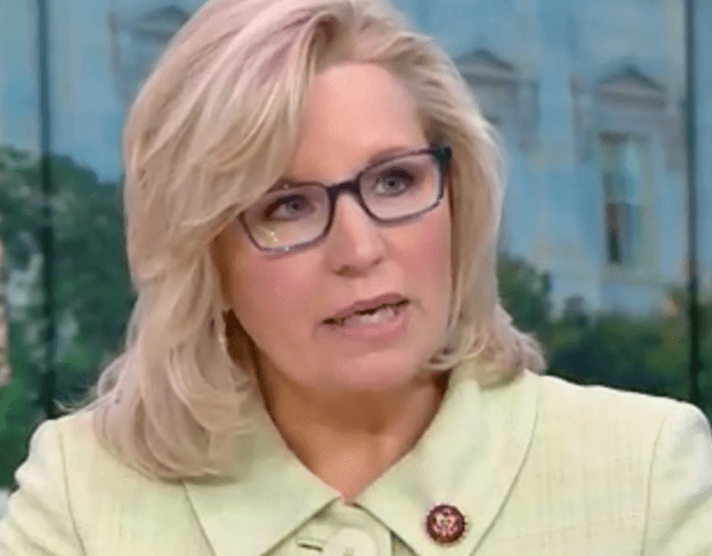 Liz Cheney Vermögen