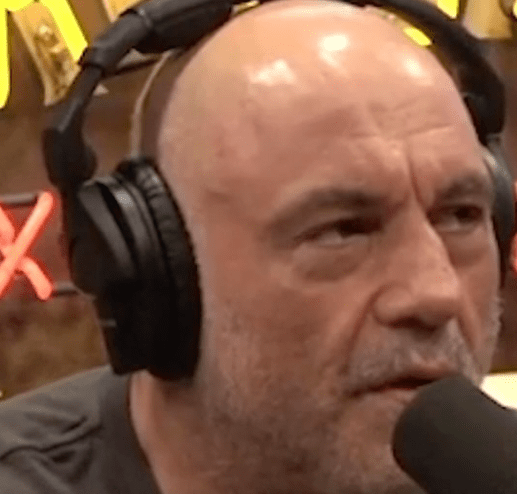 Joe Rogan Vermögen