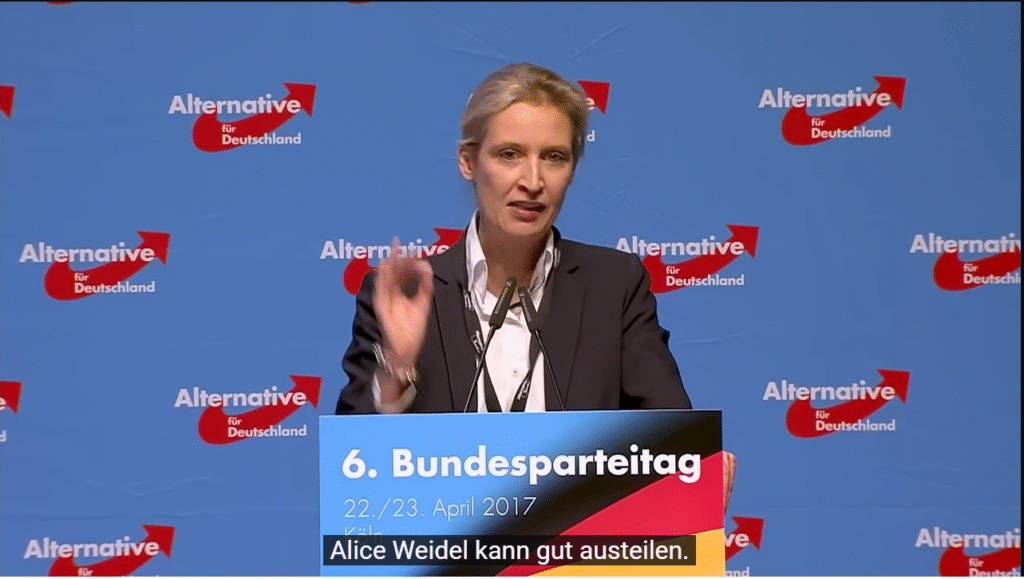 Alice Weidel vermögen Alice Weidel vermögen