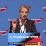 Alice Weidel vermögen