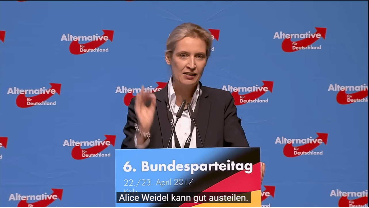 Alice Weidel vermögen